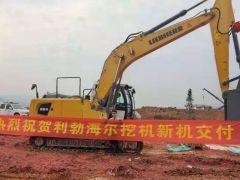 熱烈祝賀重慶客戶第八臺(tái)利勃海爾挖掘機(jī)交付！