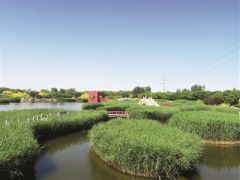 臨港濕地公園：“環(huán)?！薄邦佒怠奔嫒莶⑿?/></a>　　臨港生態(tài)濕地公園　　由天津港保稅區(qū)管委會作為執(zhí)行機(jī)構(gòu)的亞洲開發(fā)銀行貸款項(xiàng)目天津海河河口地區(qū)污染控制與生態(tài)恢復(fù)項(xiàng)目近期完成貸款賬戶清戶，其中，濕地生態(tài)恢復(fù)子項(xiàng)目建設(shè)了63公頃臨港生態(tài)濕地公園(一期)，具備污水處理、生態(tài)恢復(fù)和景觀...<a href=
