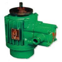 寧德起升電機(jī)高品質(zhì)